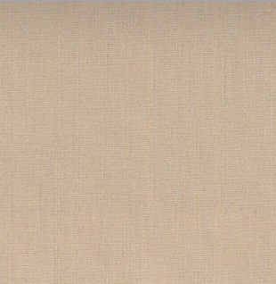 The Thing for One - Single Seat Plain Canvas